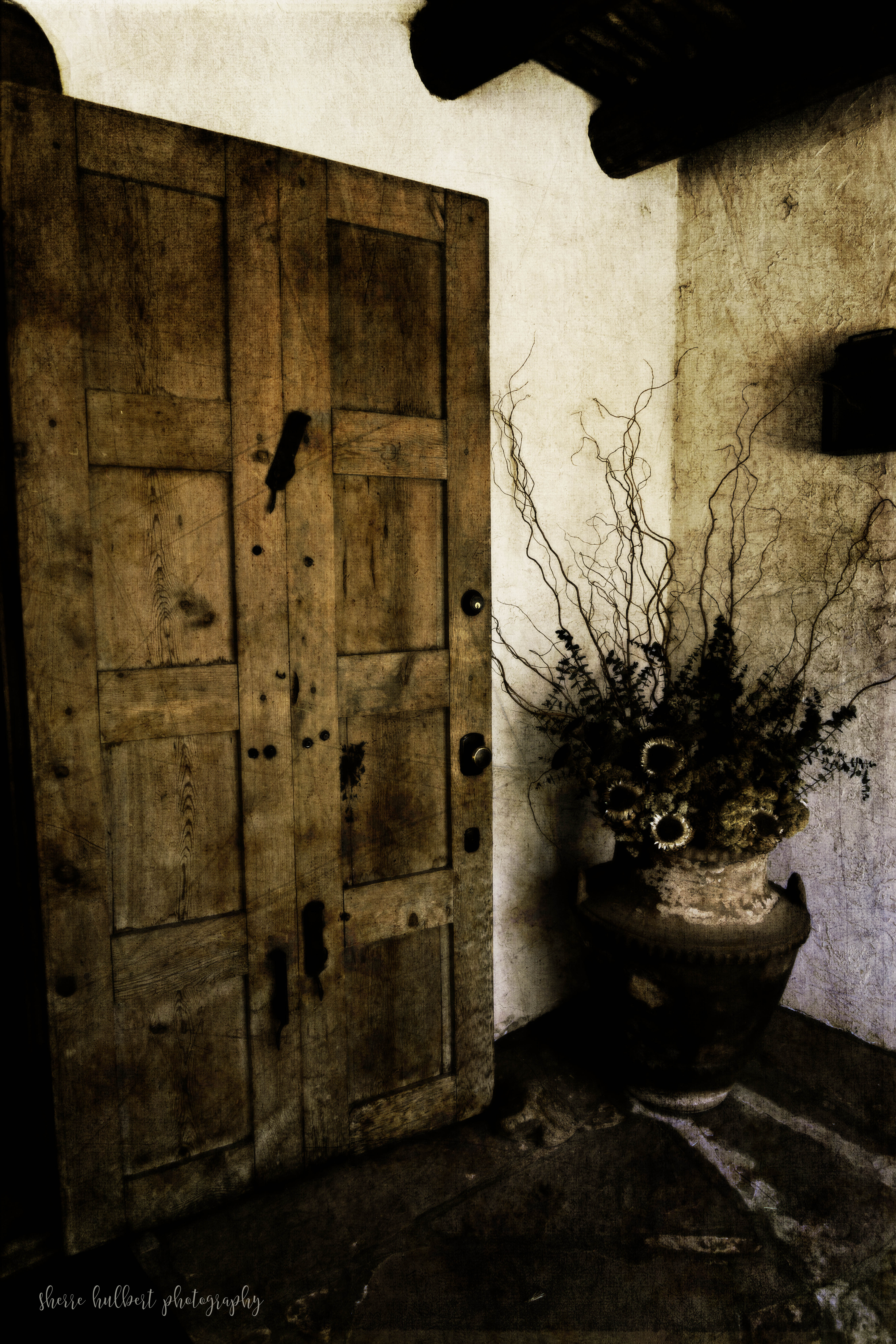 Santa Fe Door 1 copy